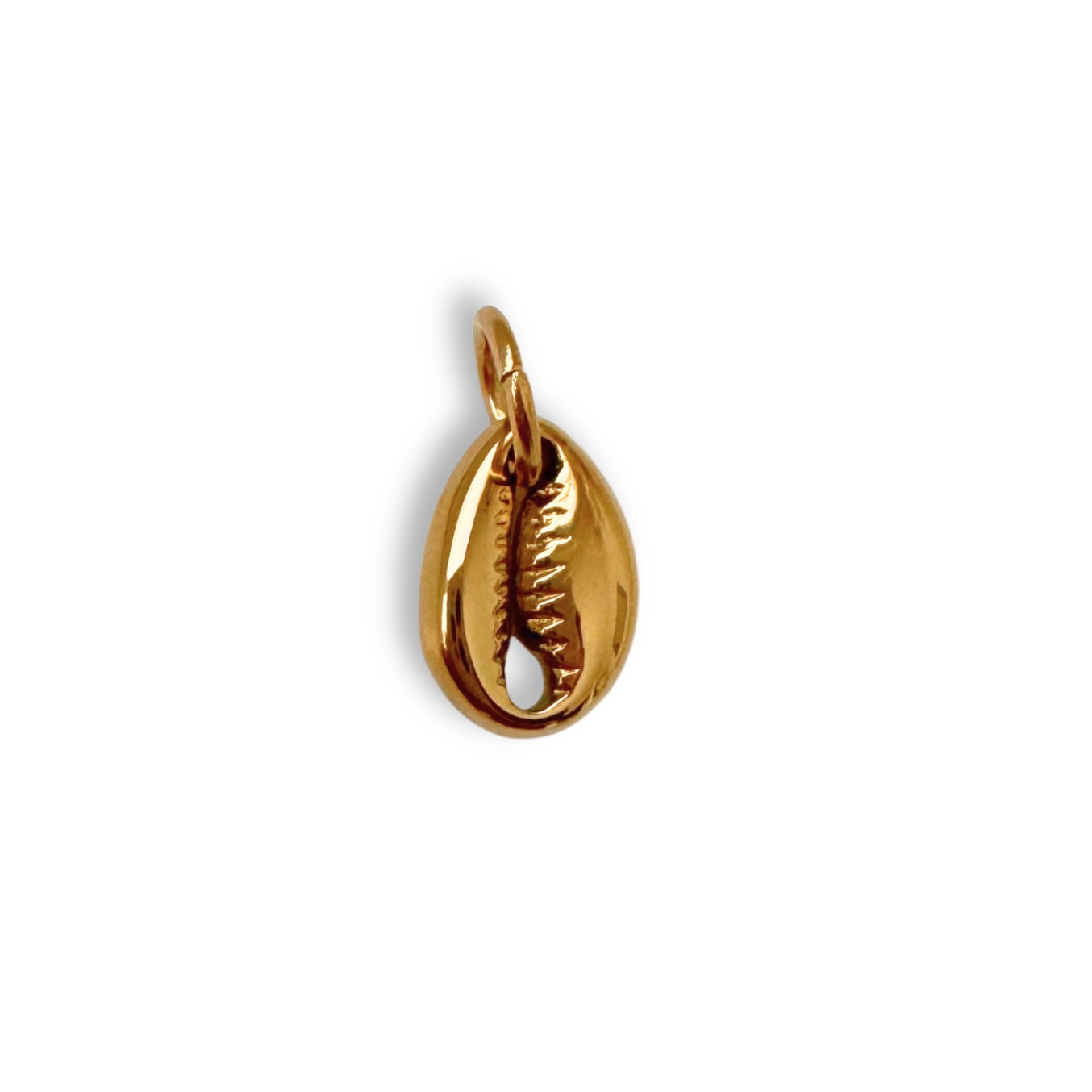 Gold Cowrie Shell Charm - Small