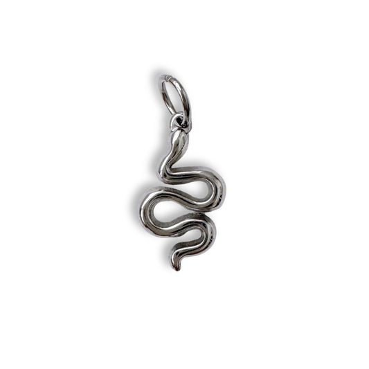 Silver Serpent Charm