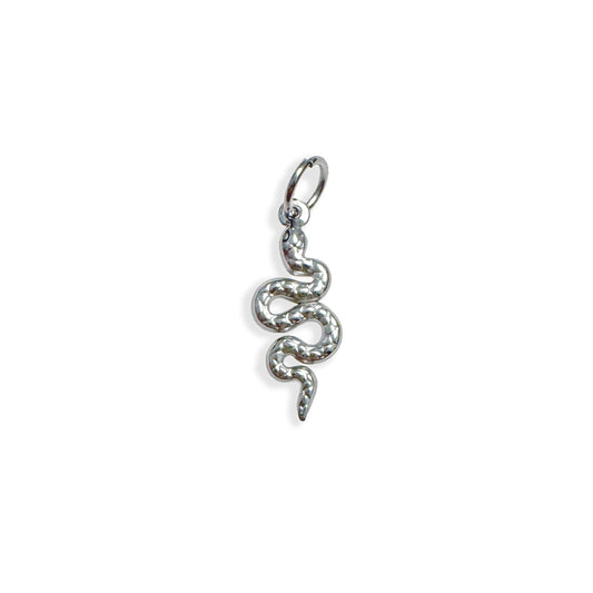 Silver Snake Charm