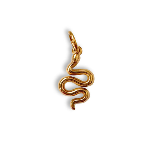 Gold Serpent Charm