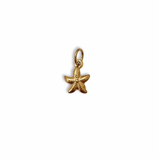 Gold Small Starfish Charm
