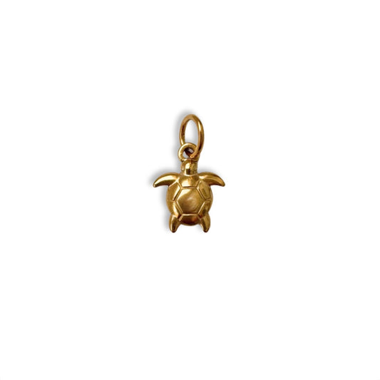 Gold Tiny Turtle Charm